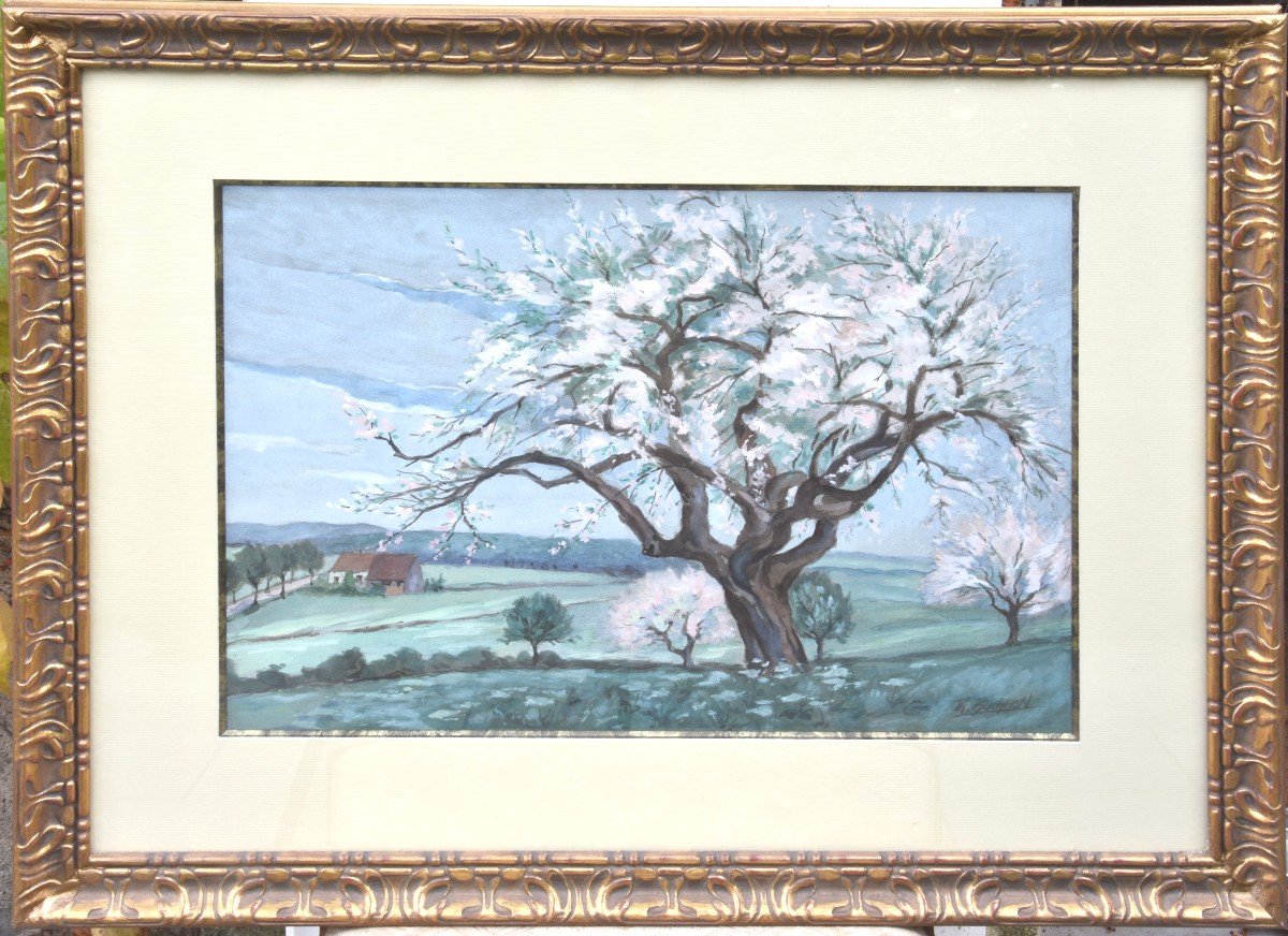 Théodore BUCHHOLD "Les arbres en fleurs" gouache 33x45